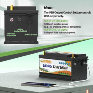 FLLYROWTH 12V 100Ah LiFePo4 Battery